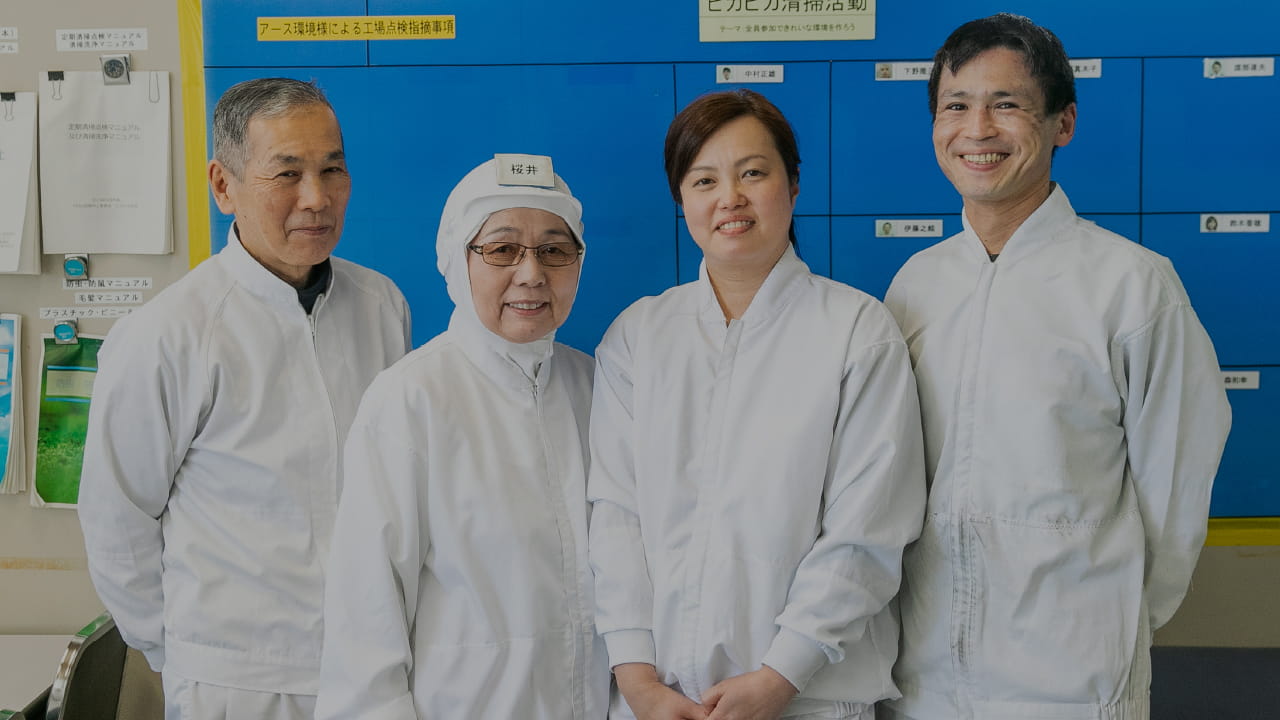 採用情報
